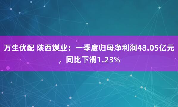 万生优配 陕西煤业：一季度归母净利润48.05亿元，同比下滑1.23%