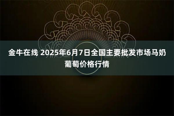 金牛在线 2025年6月7日全国主要批发市场马奶葡萄价格行情