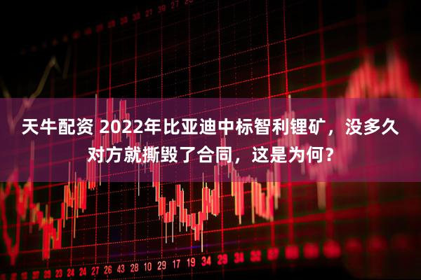 天牛配资 2022年比亚迪中标智利锂矿，没多久对方就撕毁了合同，这是为何？