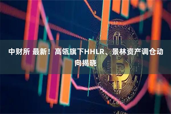 中财所 最新!高瓴旗下HHLR、景林资产调仓动向揭晓
